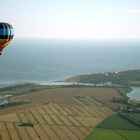Comfortable Nestled In A Landscape